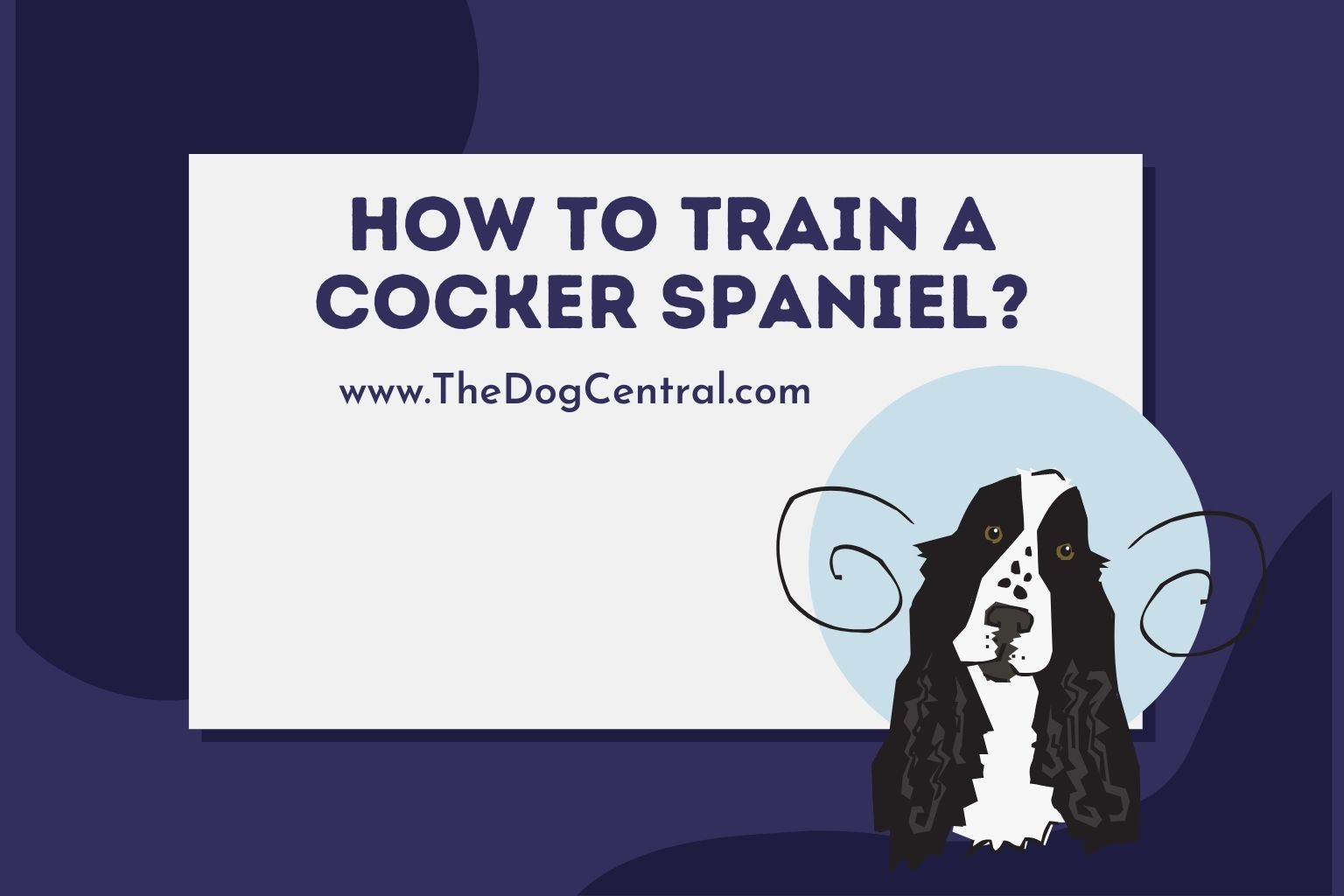 how to train a cocker spaniel