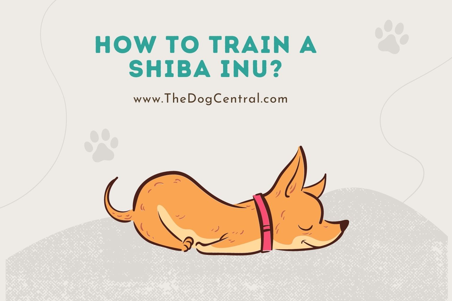 how to train a shiba inu