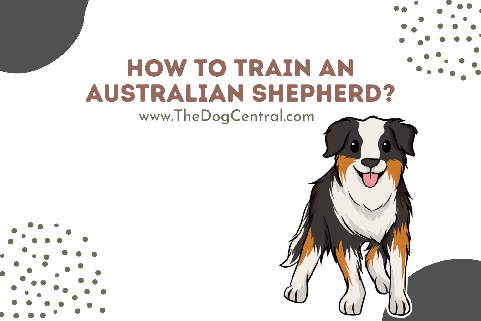 how-to-train-an-australian-shepherd