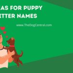 Ideas For Puppy Litter Names