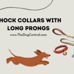 Shock Collars With Long Prongs