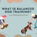What is Balanced Dog Training?