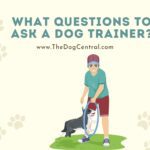 What Questions to Ask a Dog Trainer