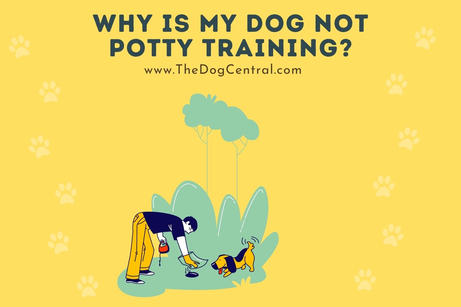 why is my dog not potty training