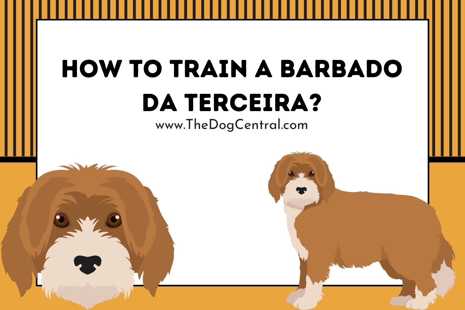 How to Train a Barbado da Terceira
