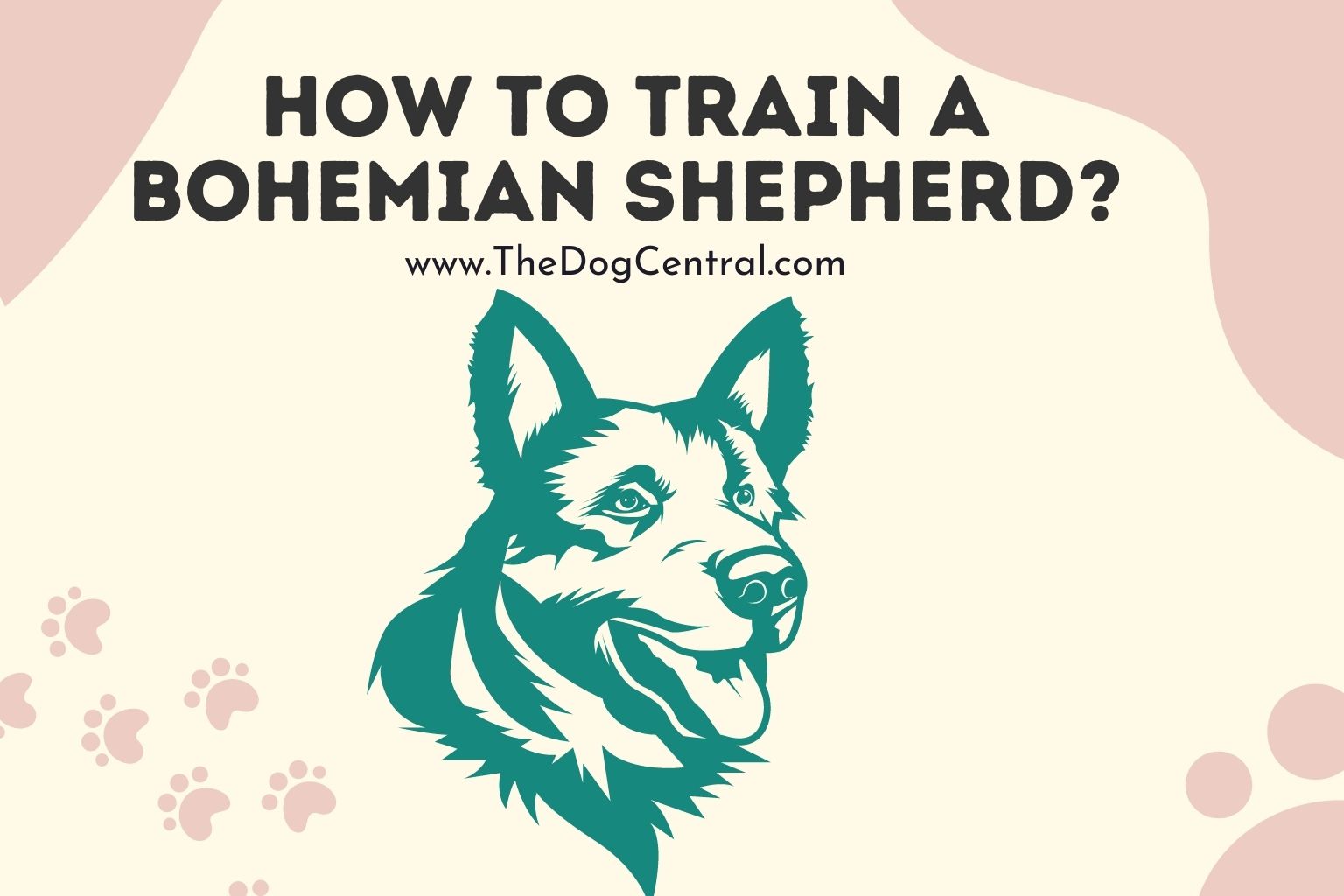 How to Train a Bohemian Shepherd