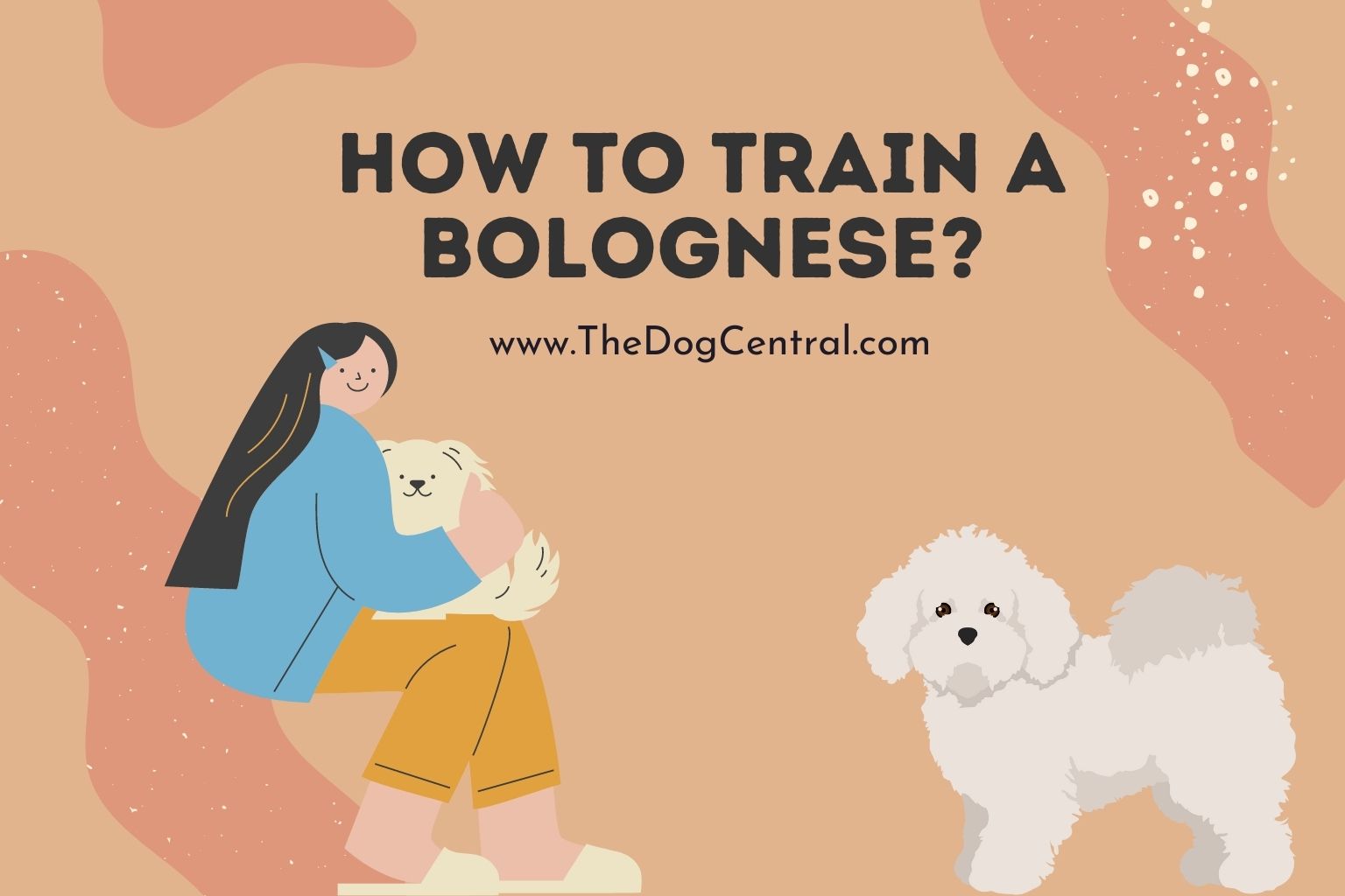 How to Train a Bolognese