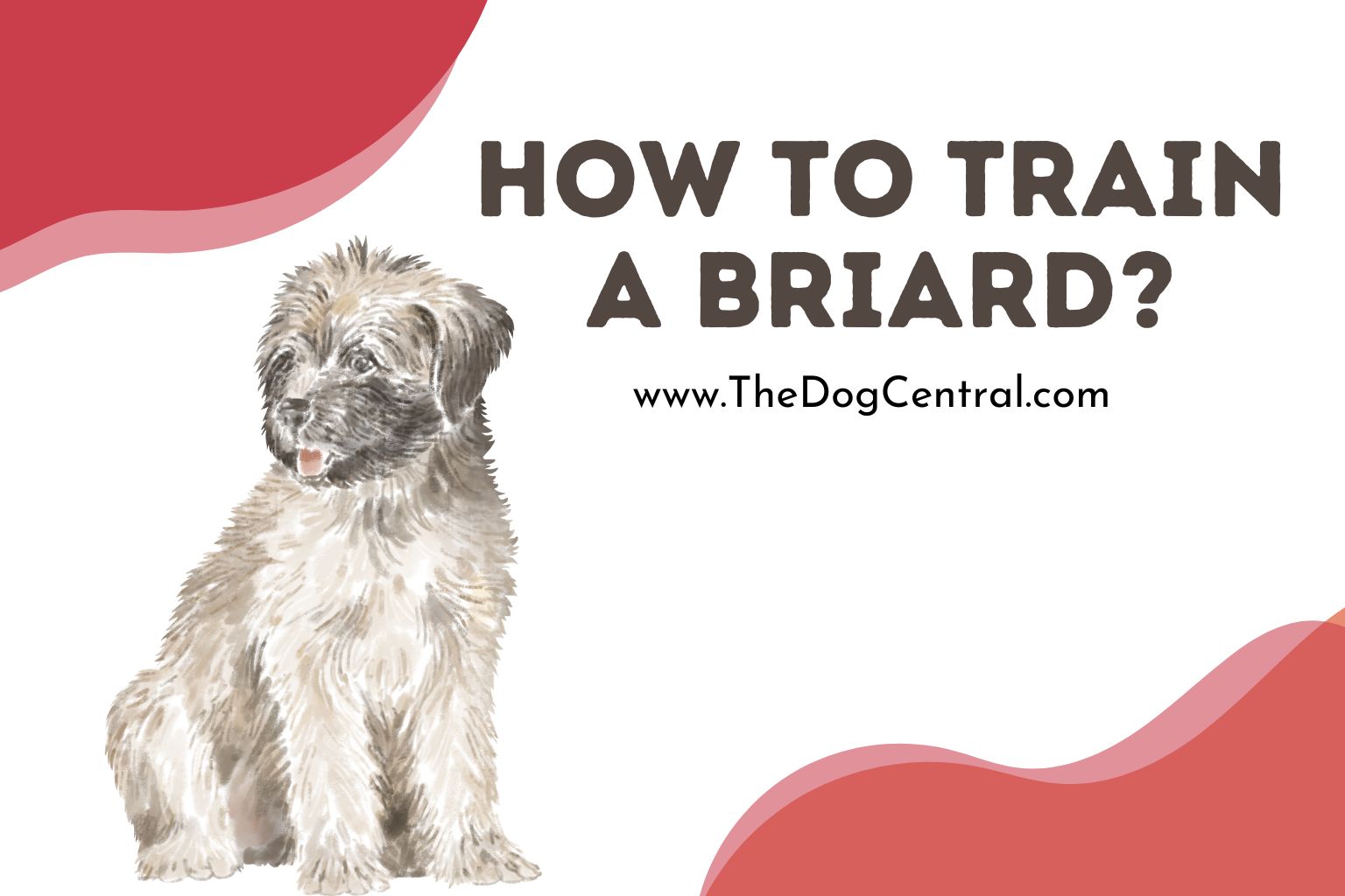 How to Train a Briard