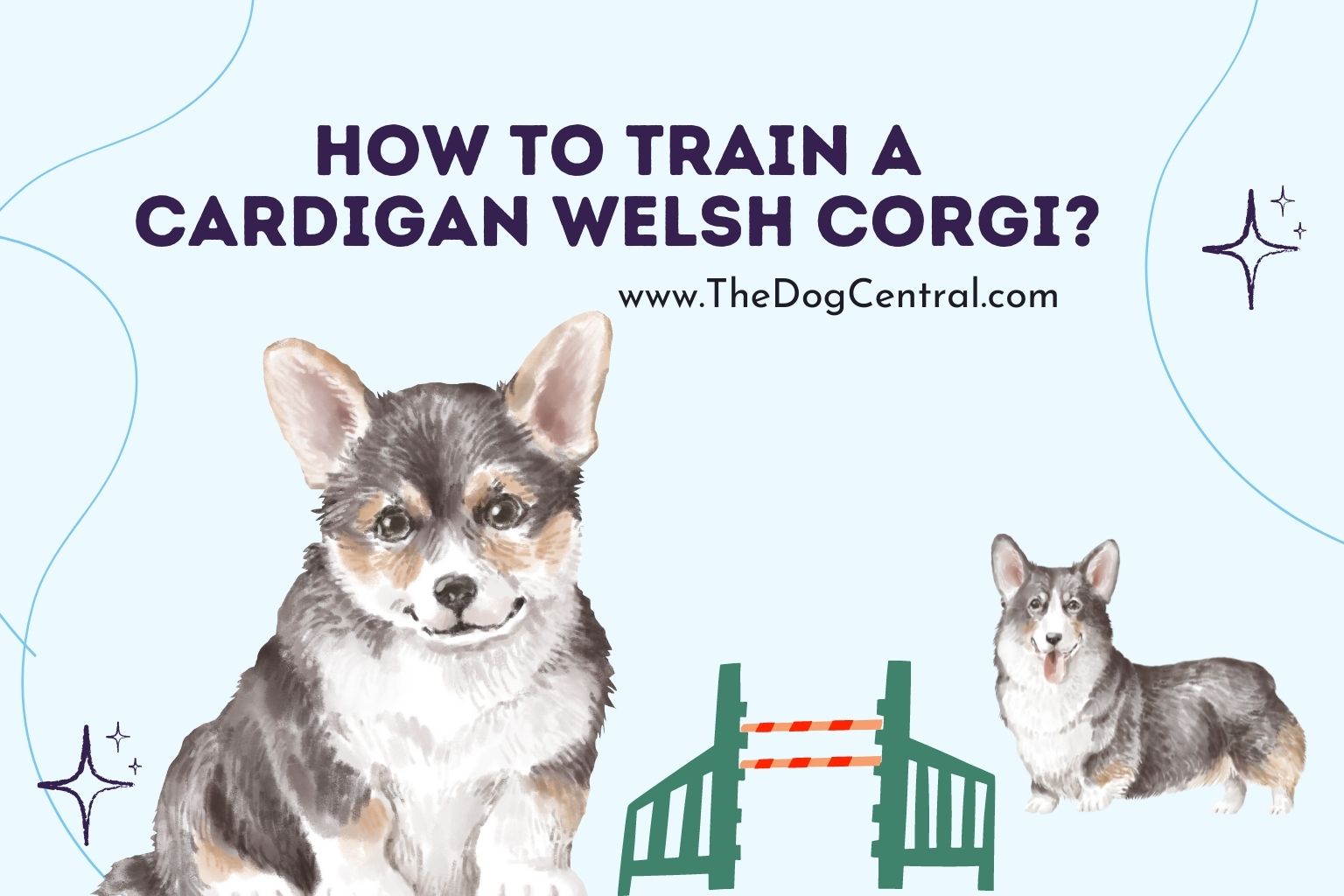 How to Train a Cardigan Welsh Corgi