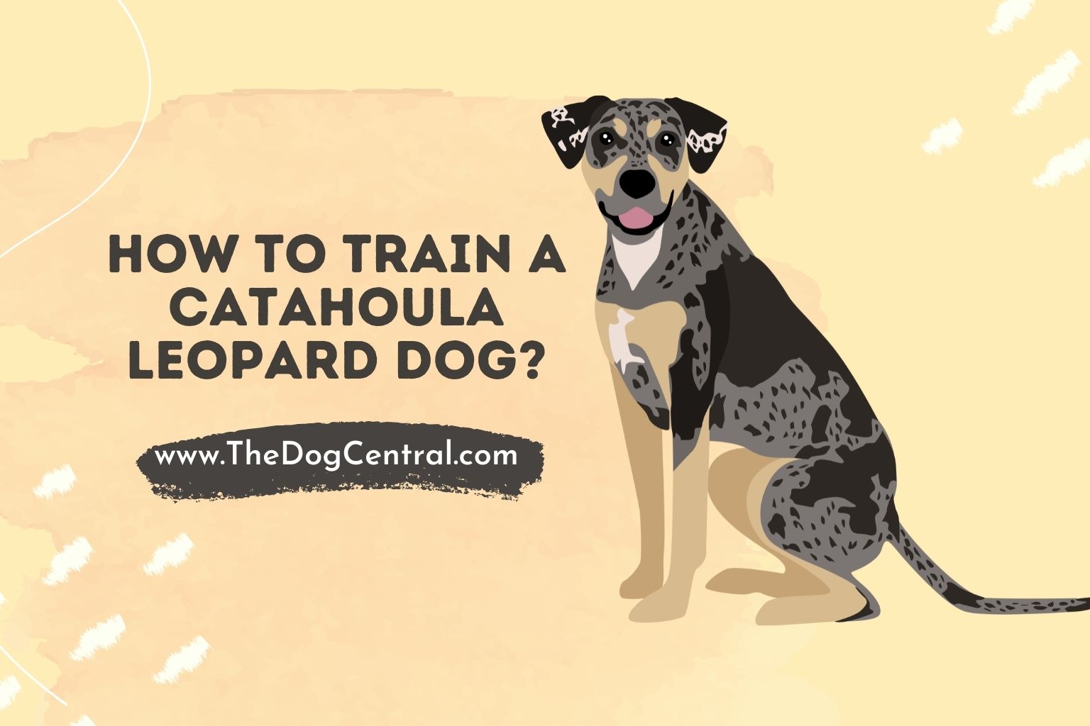 How to Train a Catahoula Leopard Dog? | The Dog Central