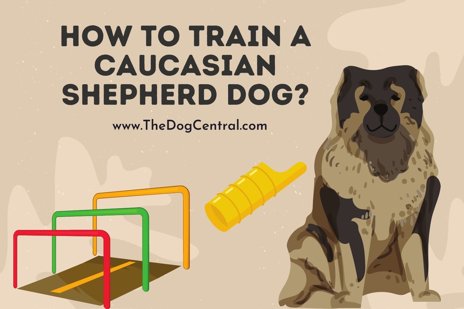 How to Train a Caucasian Shepherd dog