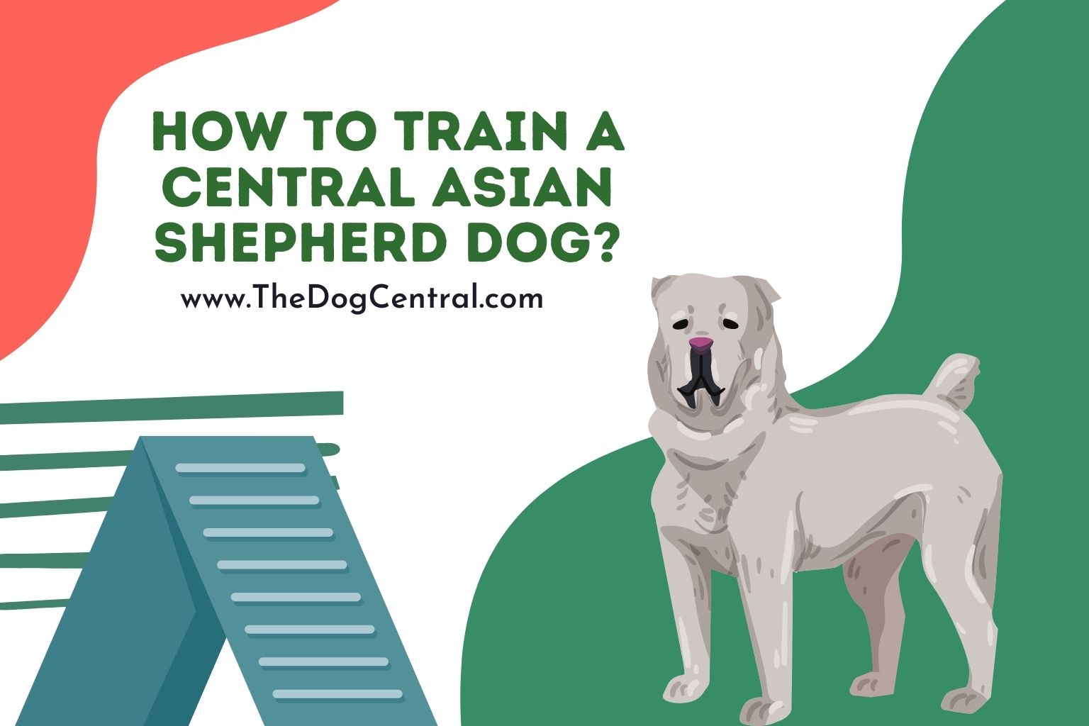 How to Train a Central Asian Shepherd Dog