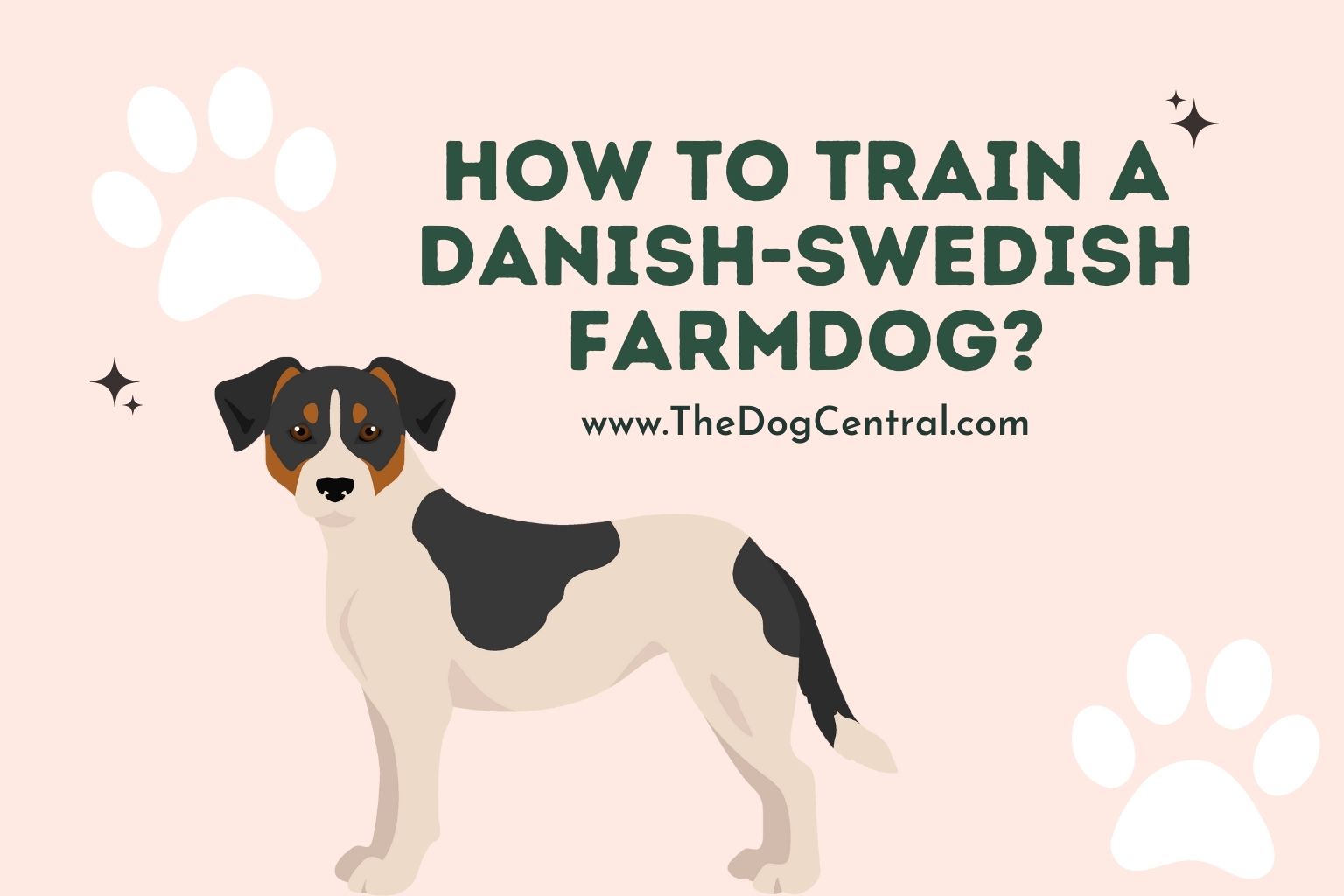 How to Train a Danish-Swedish Farmdog