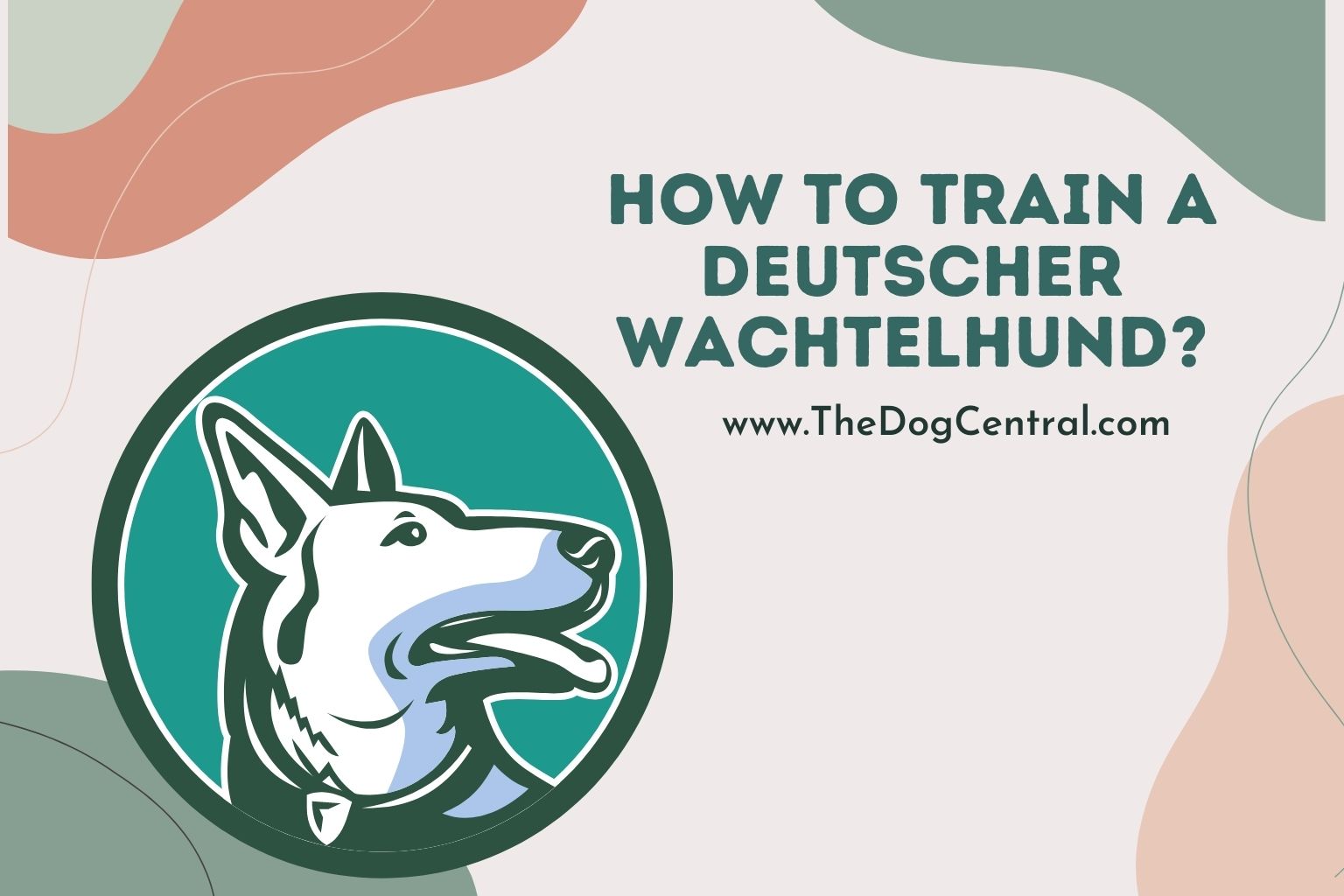 How to Train a Deutscher Wachtelhund