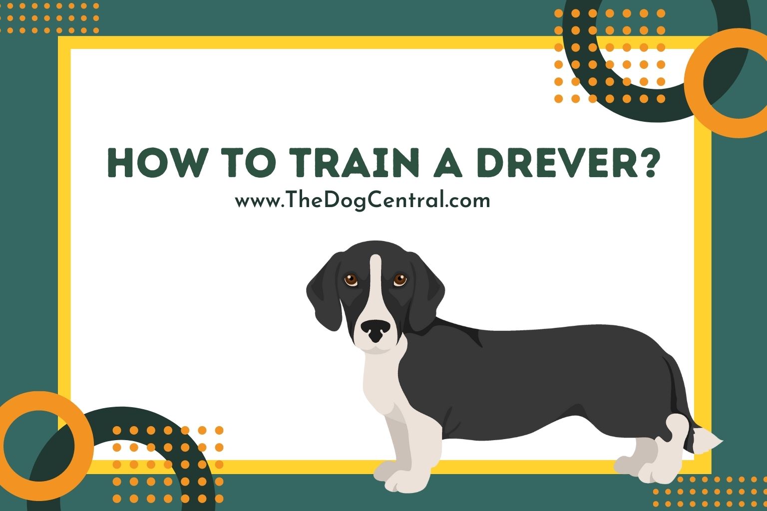 How to Train a Drever