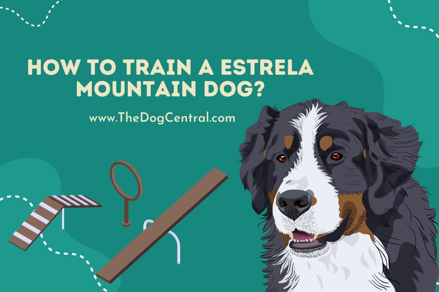 How to Train a Estrela Mountain Dog