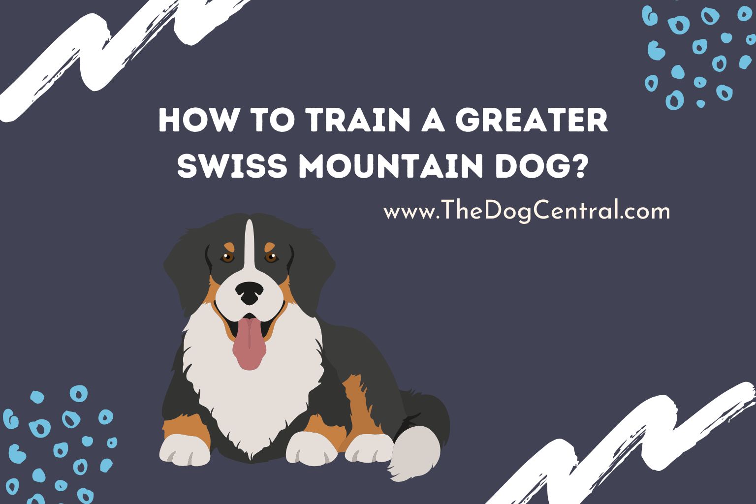 How to Train a Greater Swiss Mountain Dog