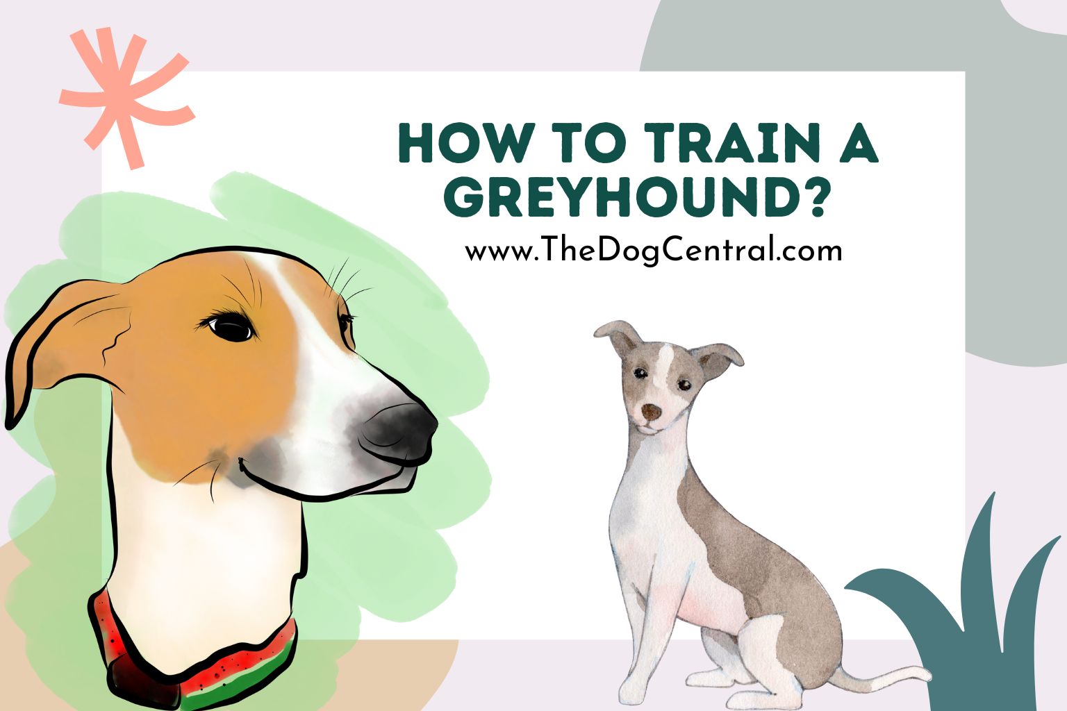 How to Train a Greyhound
