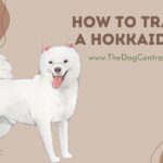 How to Train a Hokkaido?