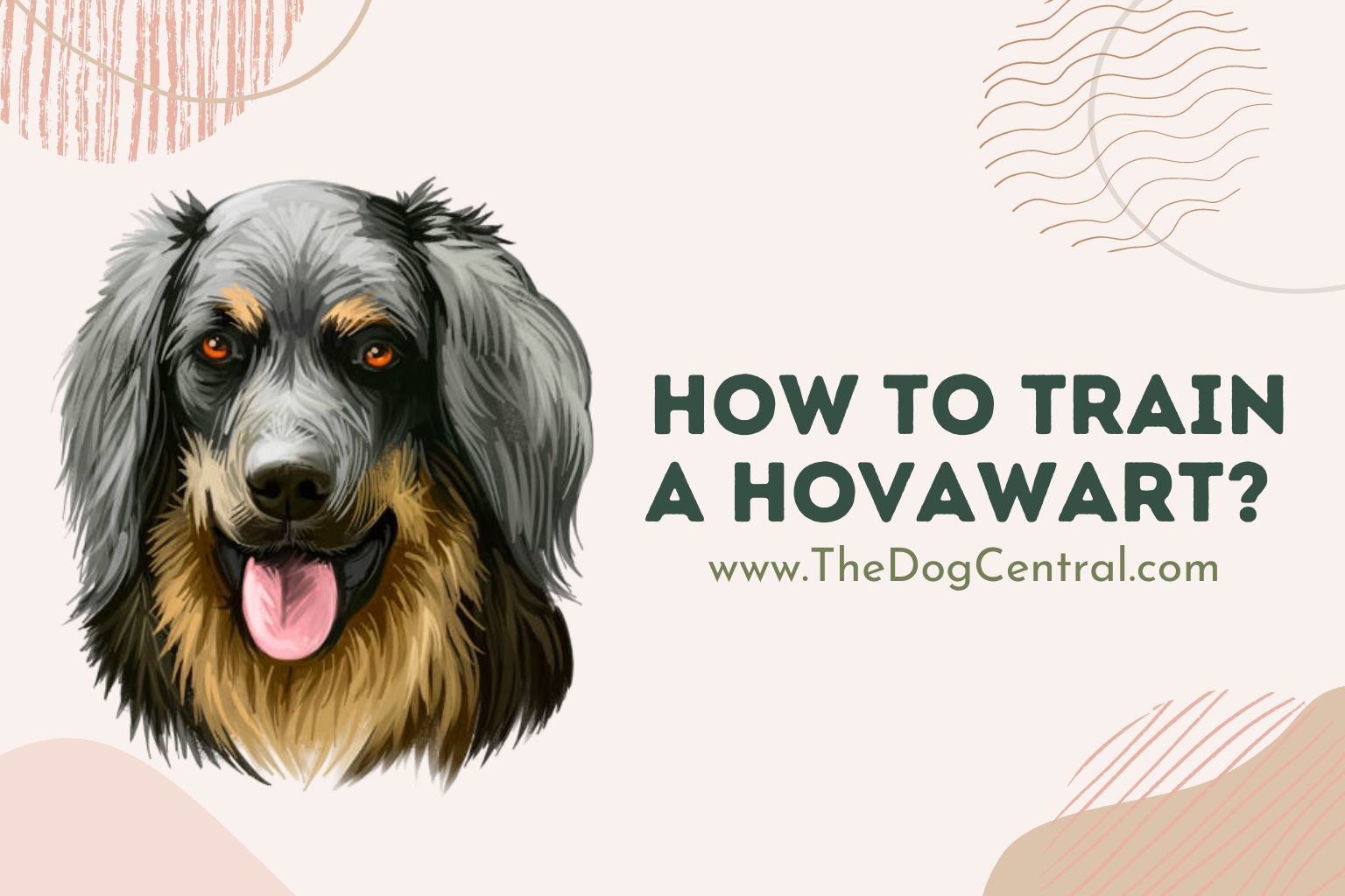 How to Train a Hovawart