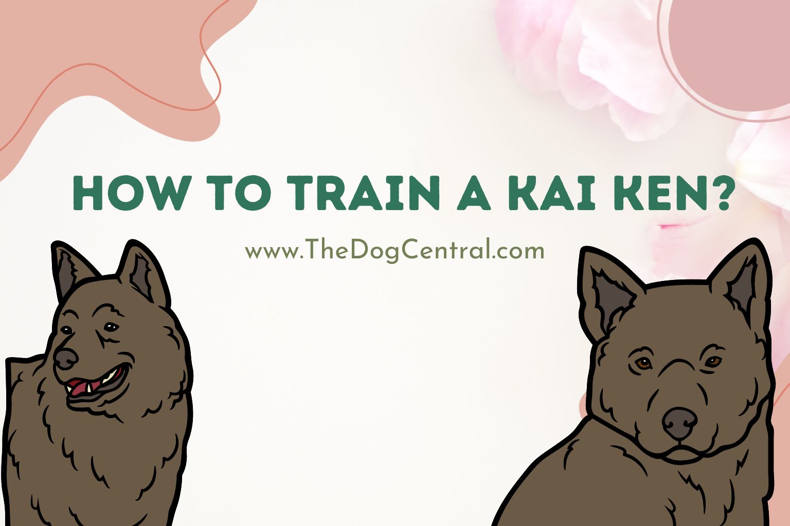 How to Train a Kai Ken