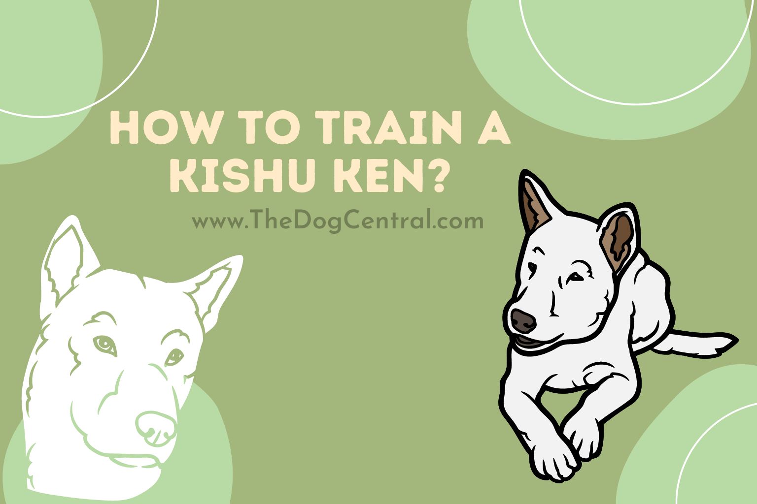 How to Train a Kishu Ken