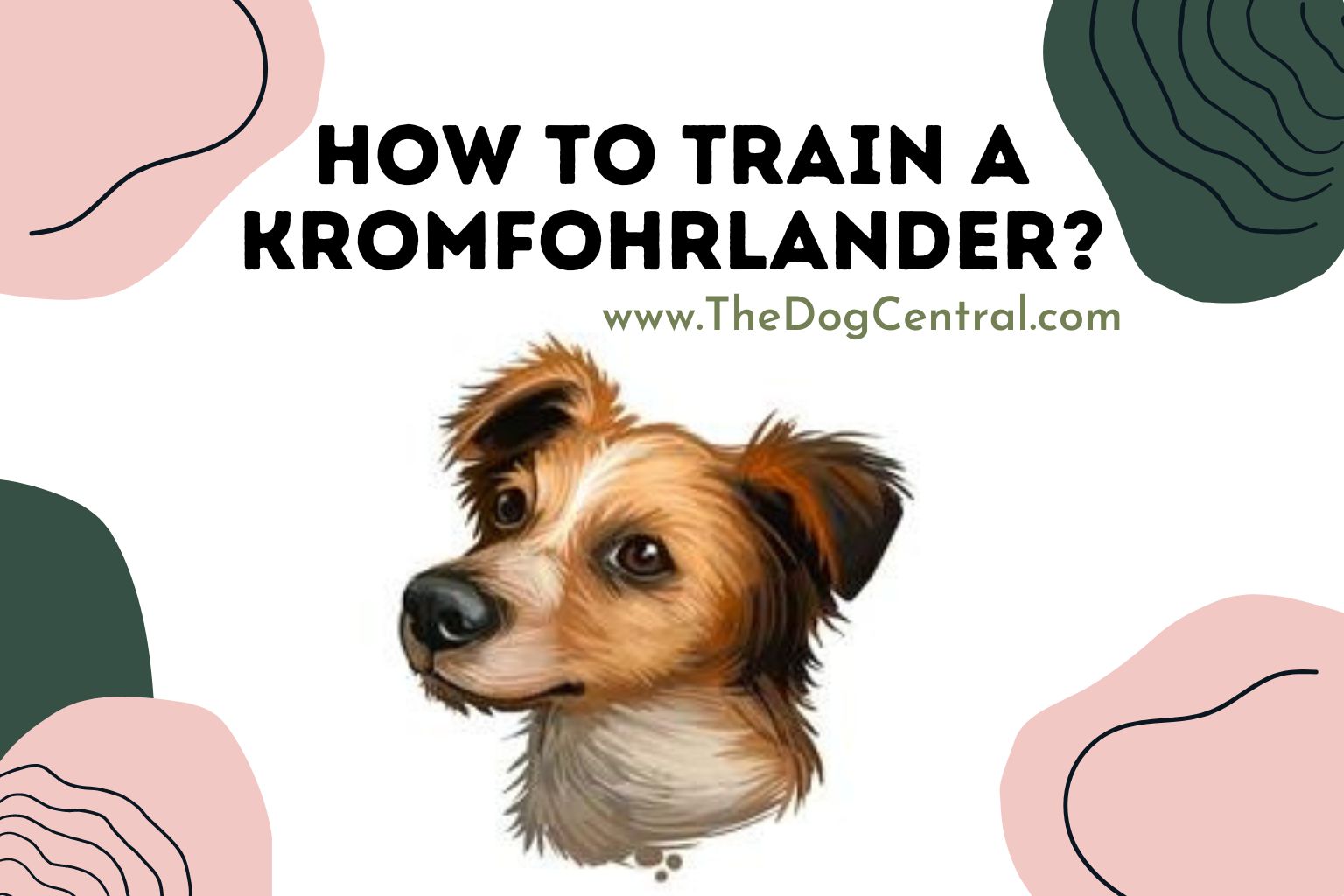 How to Train a Kromfohrlander