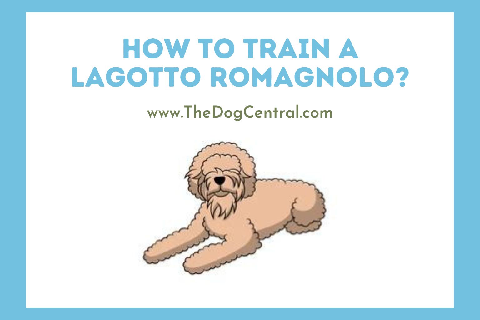 How to Train a Lagotto Romagnolo