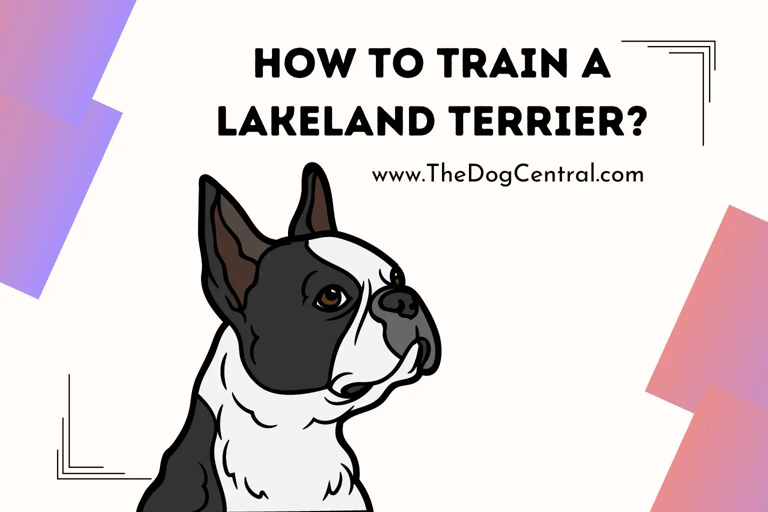 How to Train a Lakeland Terrier
