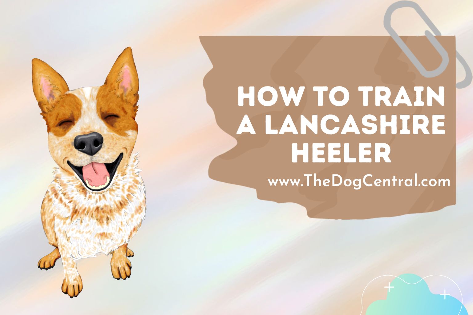How to Train a Lancashire Heeler