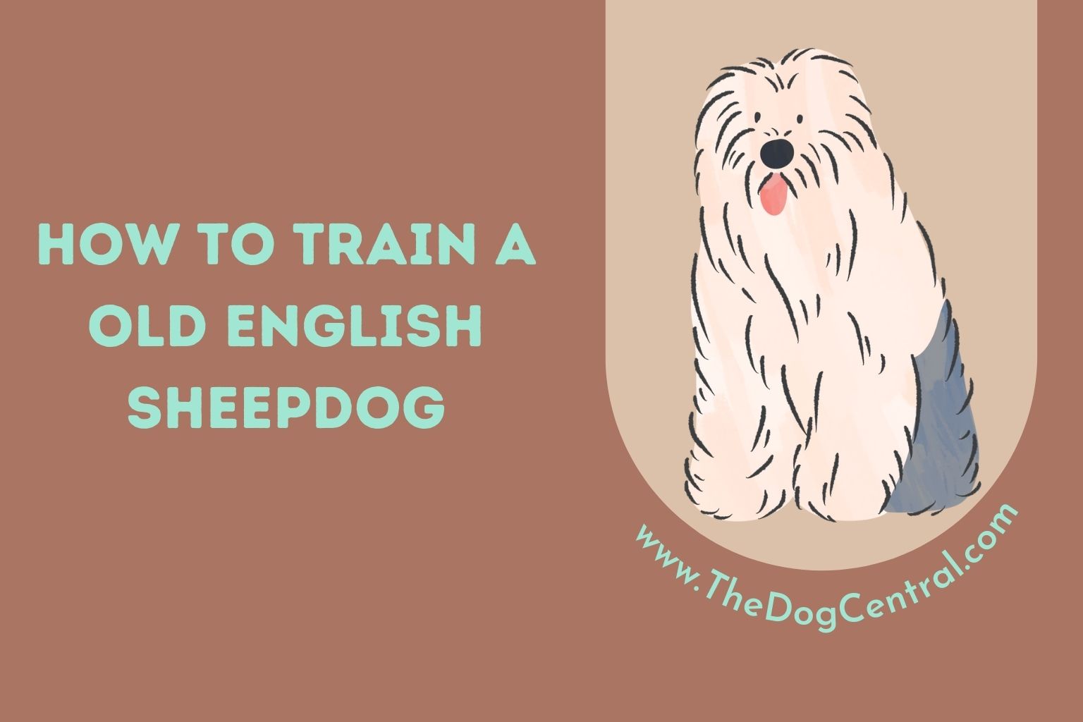 How to Train a Old English Sheepdog