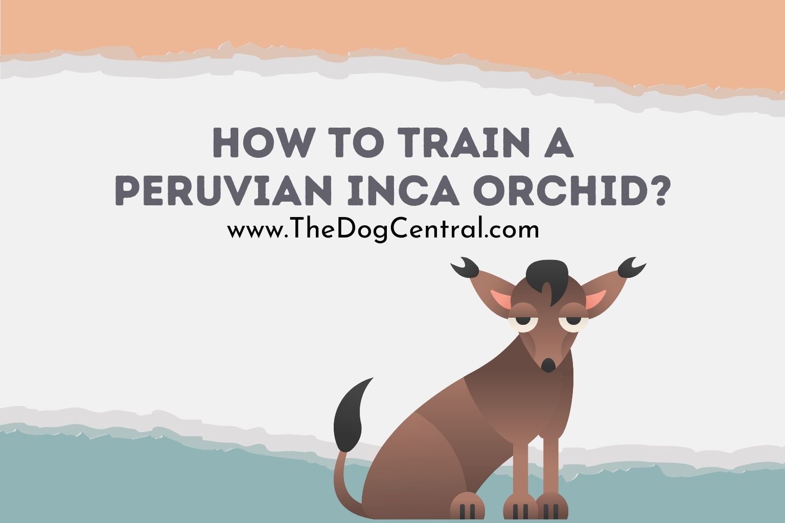 How to Train a Peruvian Inca Orchid