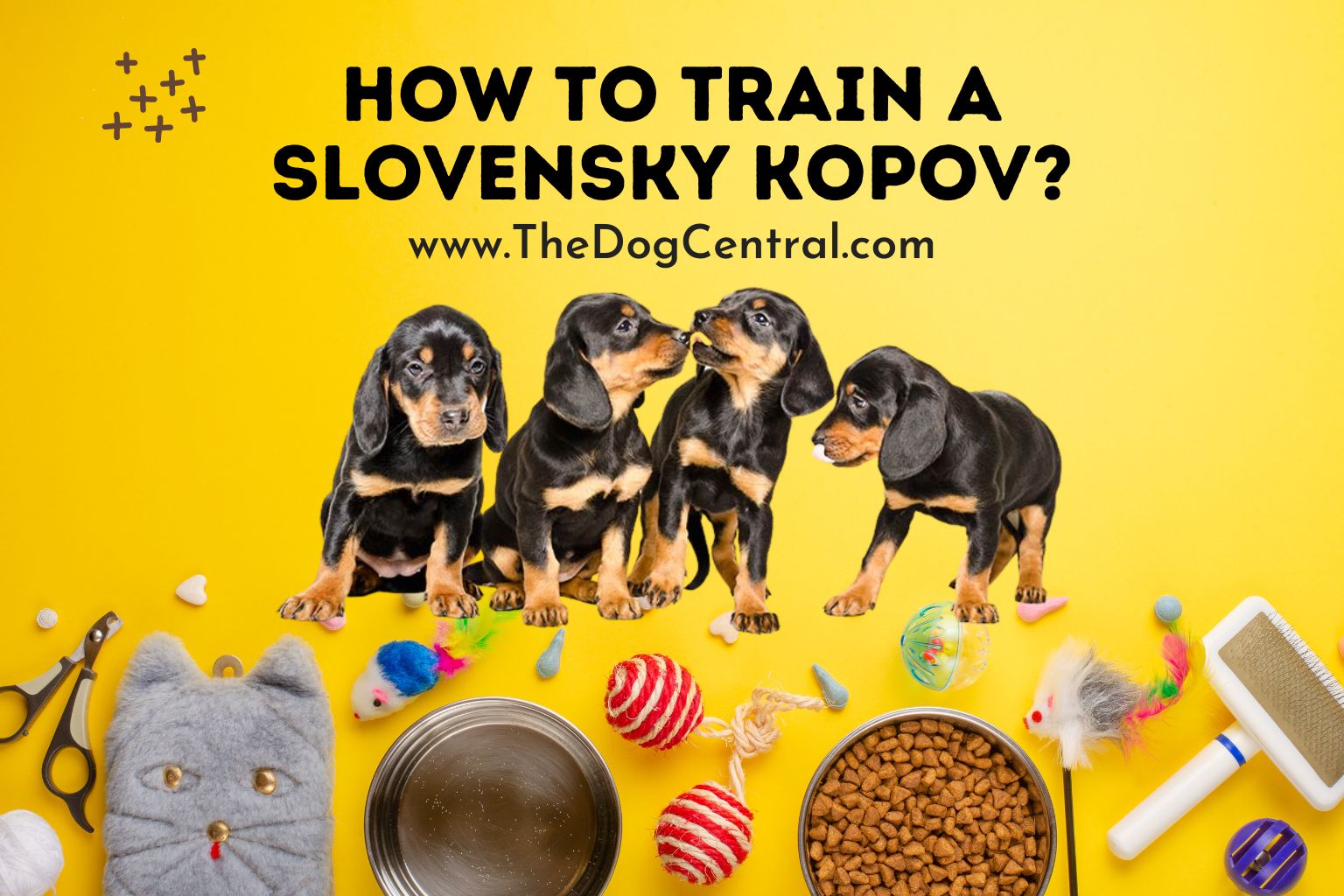 How to Train a Slovensky Kopov