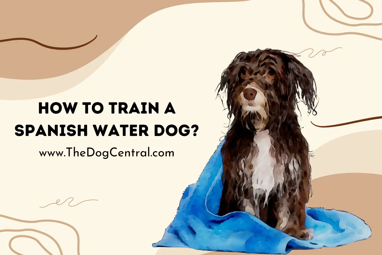How to Train a Spanish Water Dog