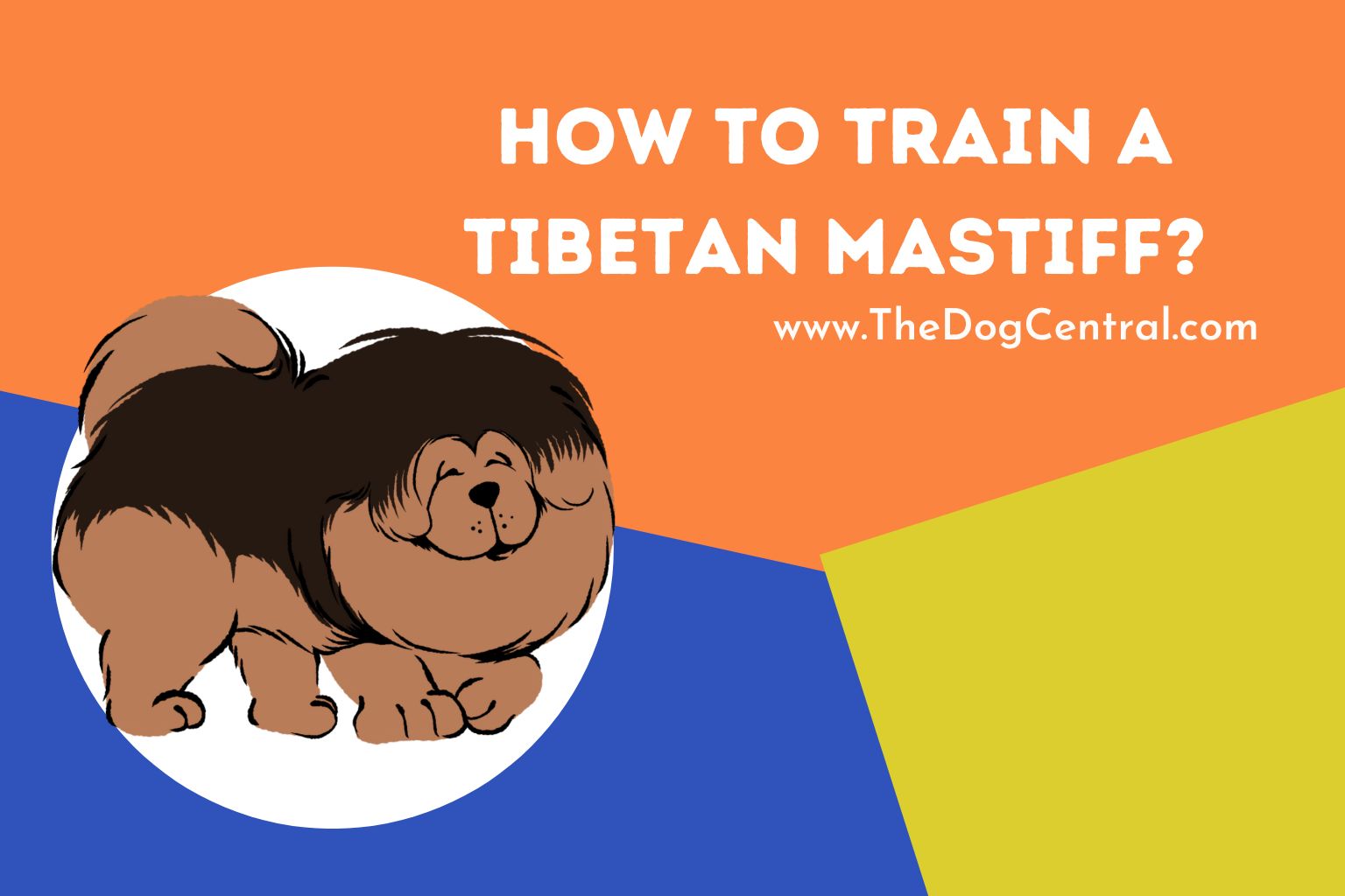 How to Train a Tibetan Mastiff
