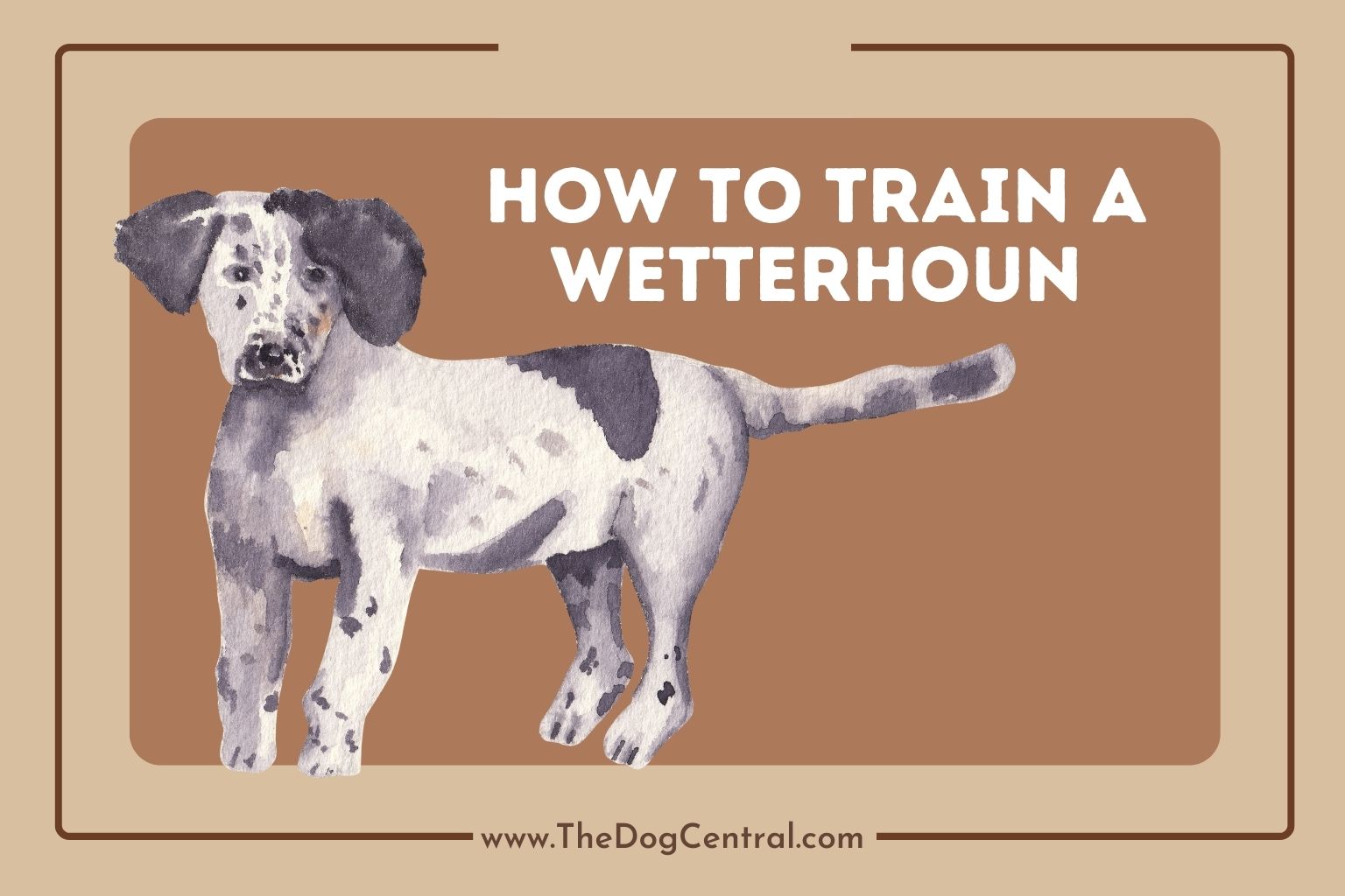 How to Train a Wetterhoun
