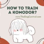 How to Train a Komondor?
