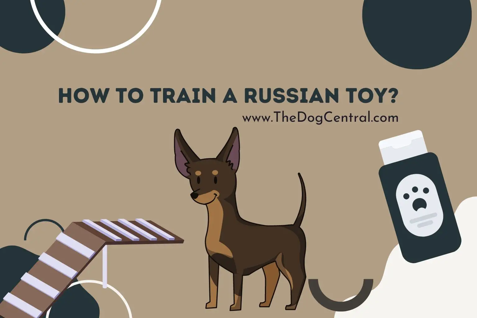 How to train a Russian Toy
