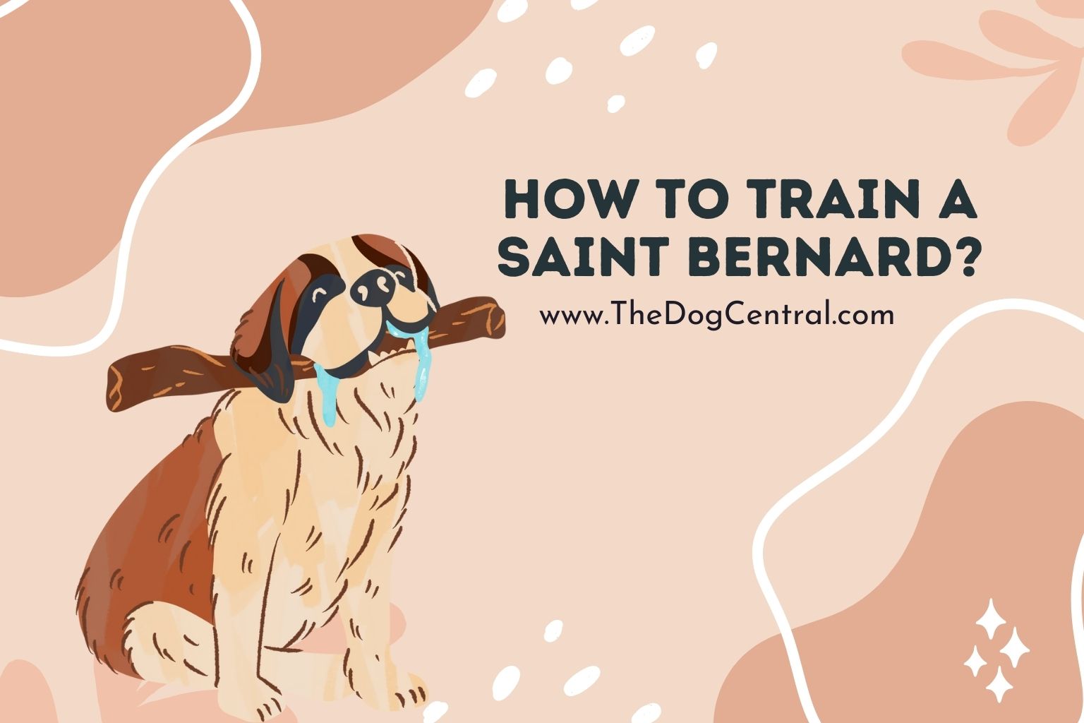 How to train a Saint Bernard