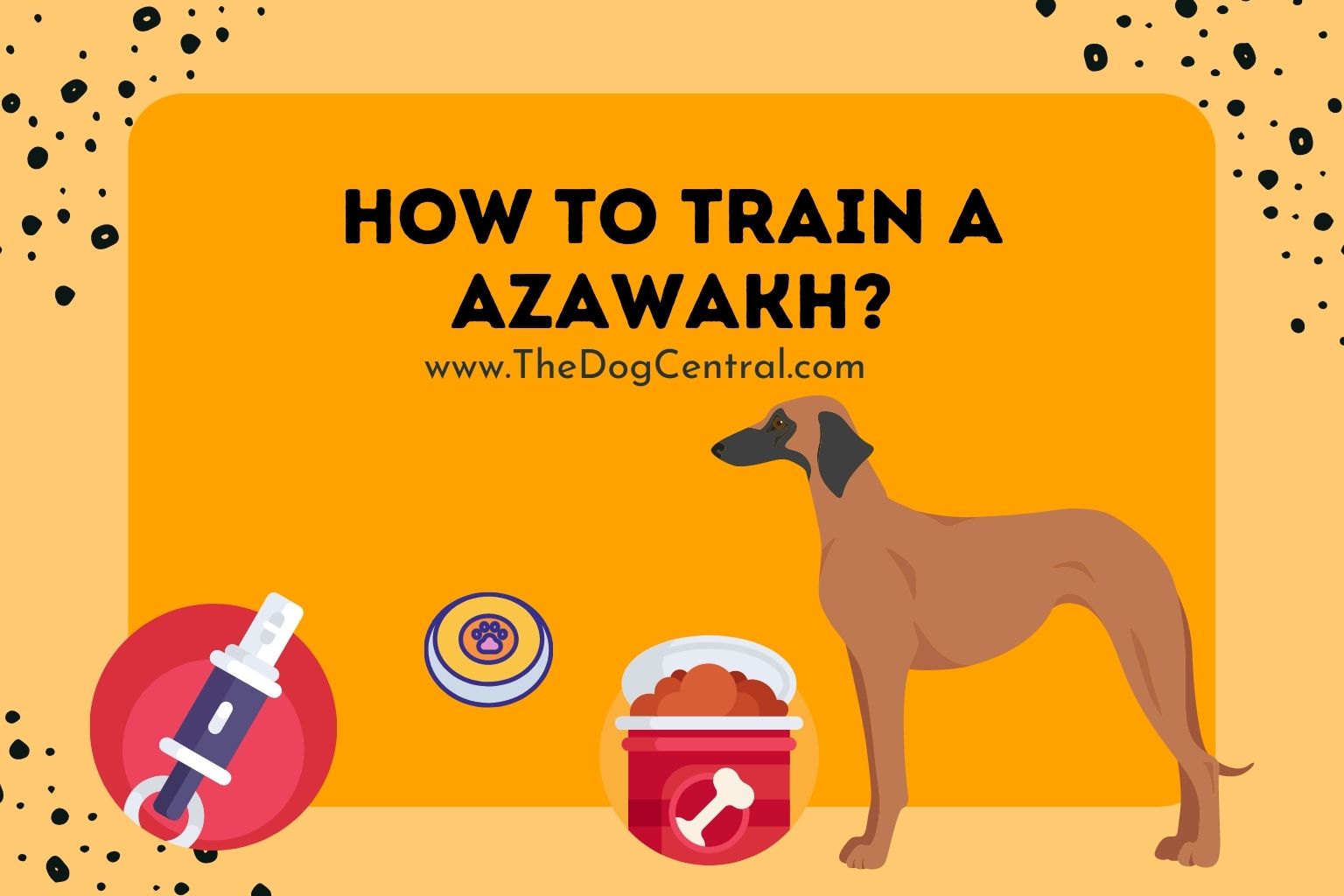 how to train a Azawakh