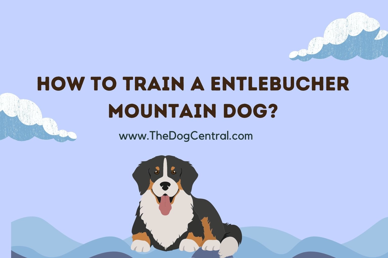 how to train a Entlebucher Mountain Dog