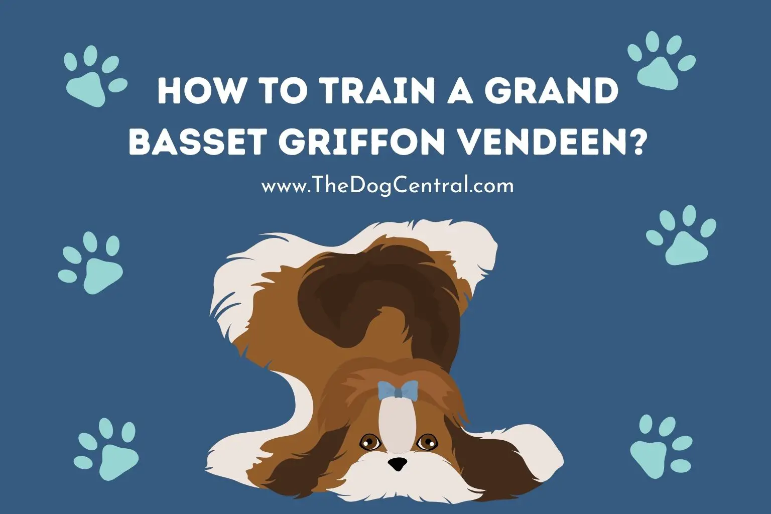 how to train a Grand Basset Griffon Vendeen