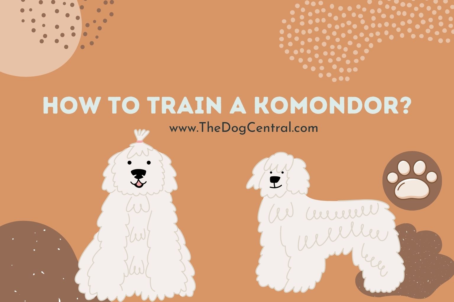 how to train a Komondor