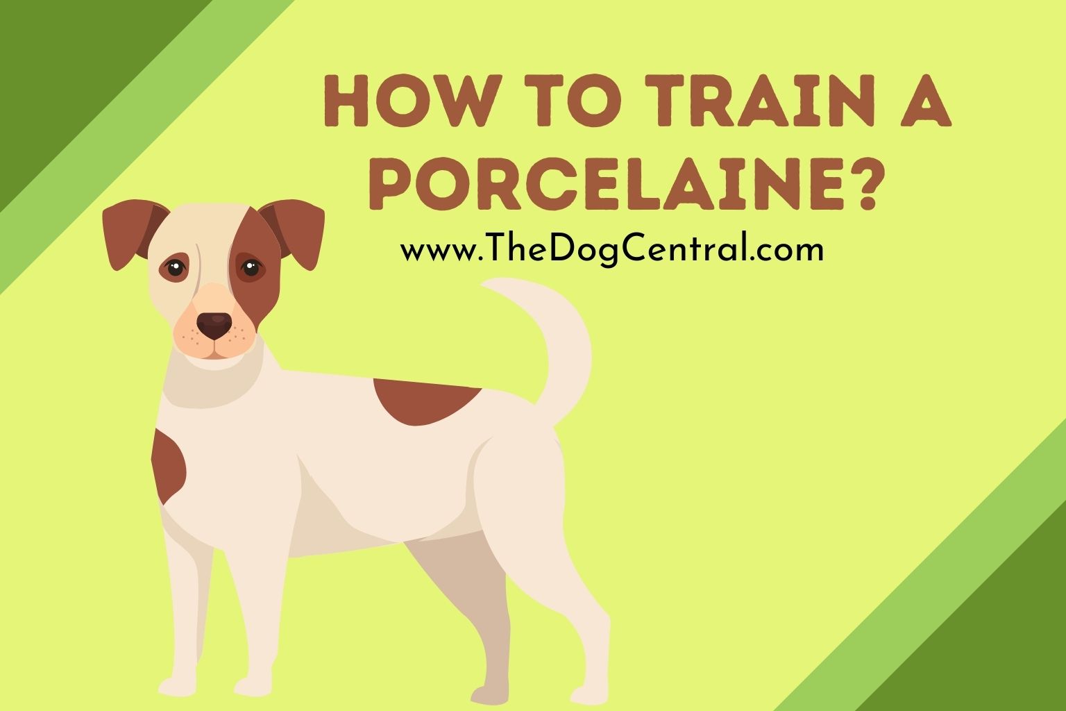 how to train a Porcelaine