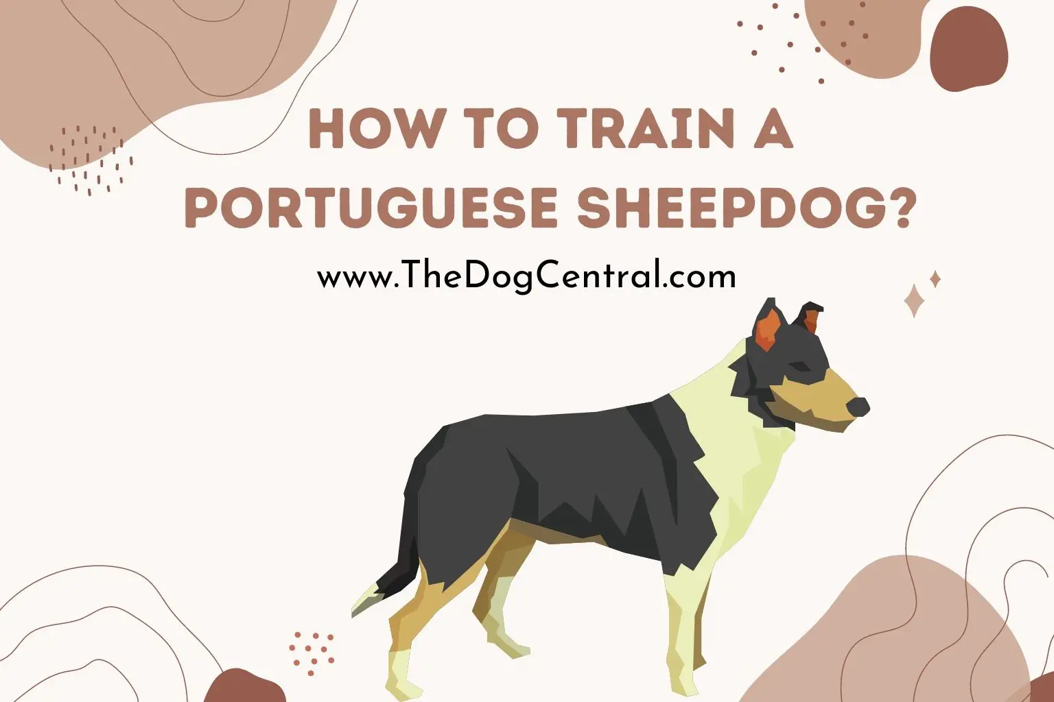 how to train a Portuguese Sheepdog