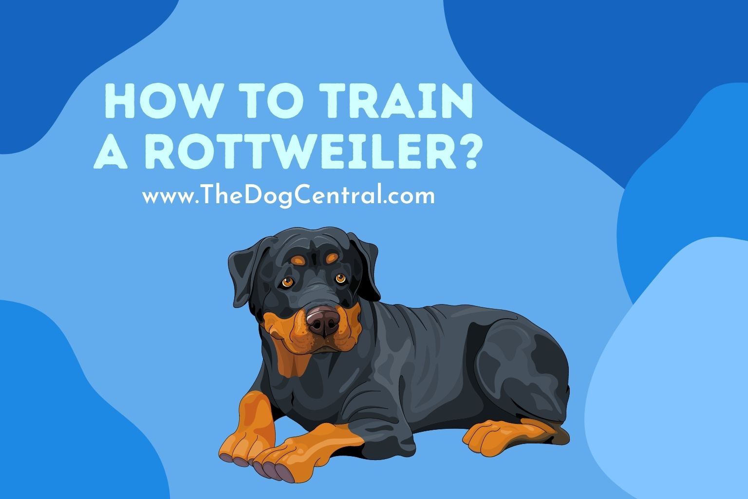 how to train a Rottweiler