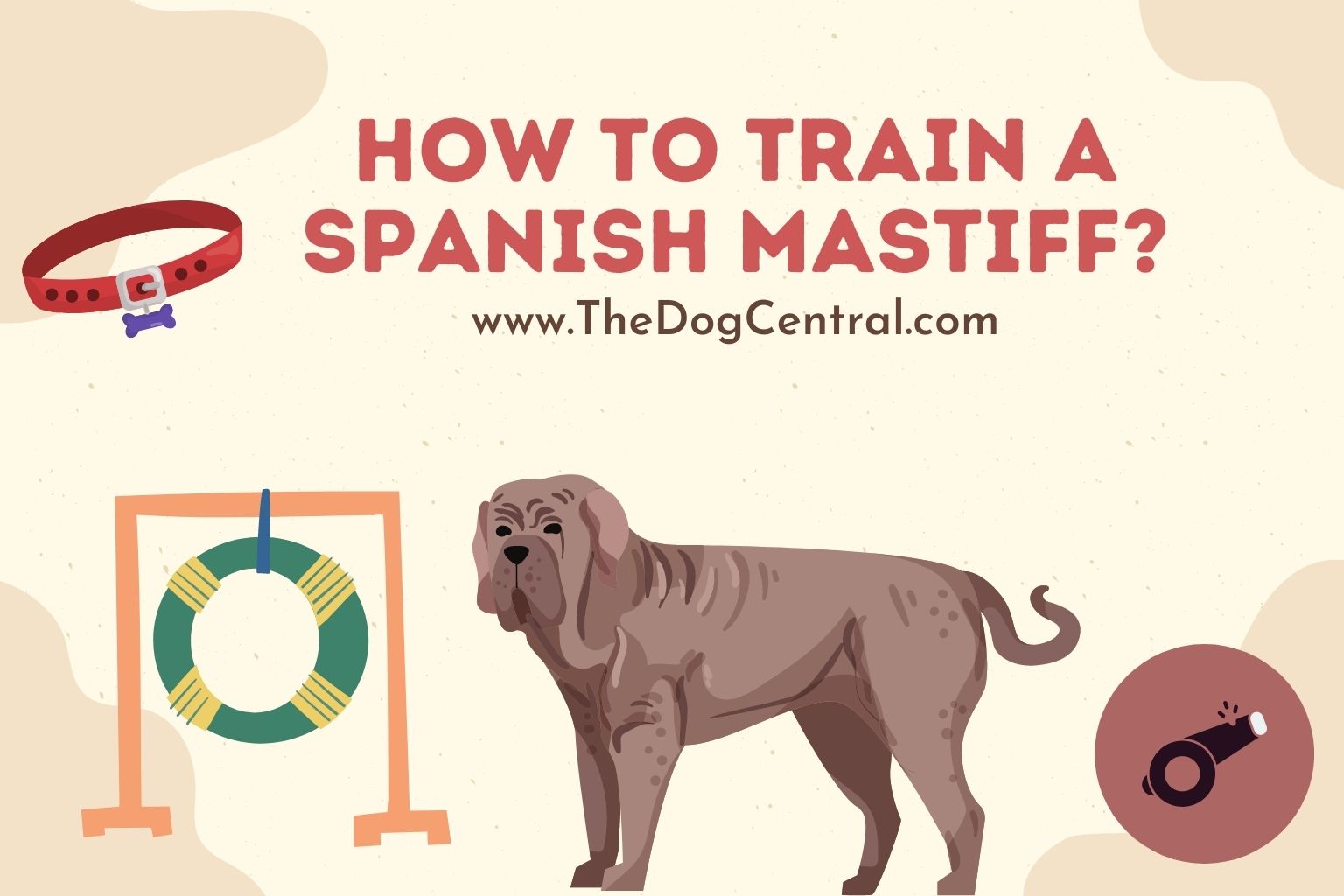 how to train a Spanish Mastiff