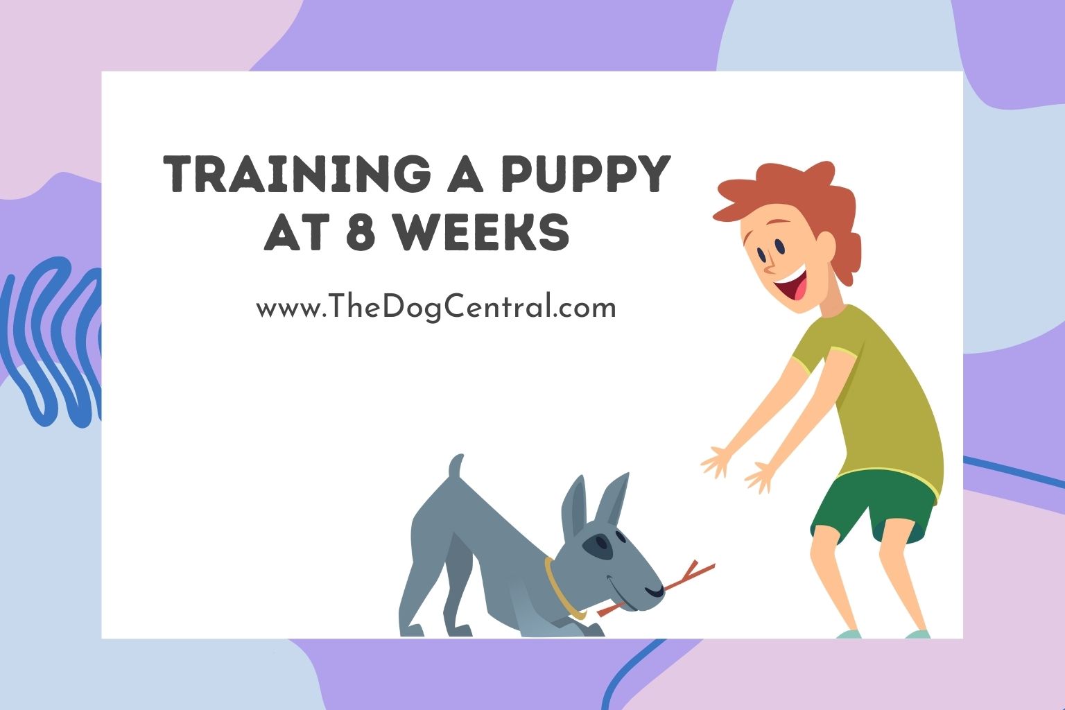 Training A Puppy At 8 Weeks The Dog Central