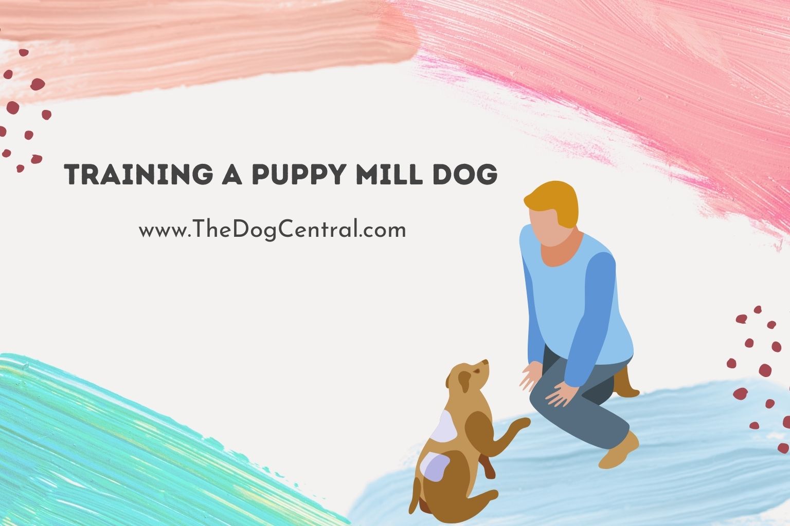 training a puppy mill dog
