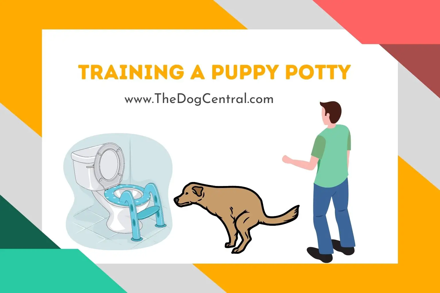 Training a Puppy to Go Potty